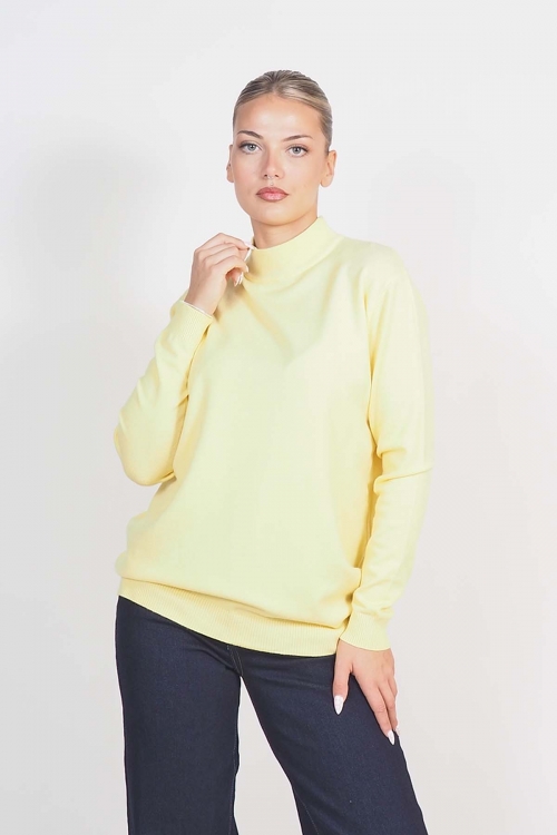 Soft knit turtleneck top Barbara