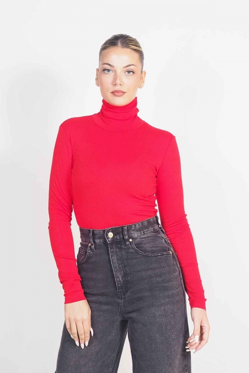 Turtleneck top Talia